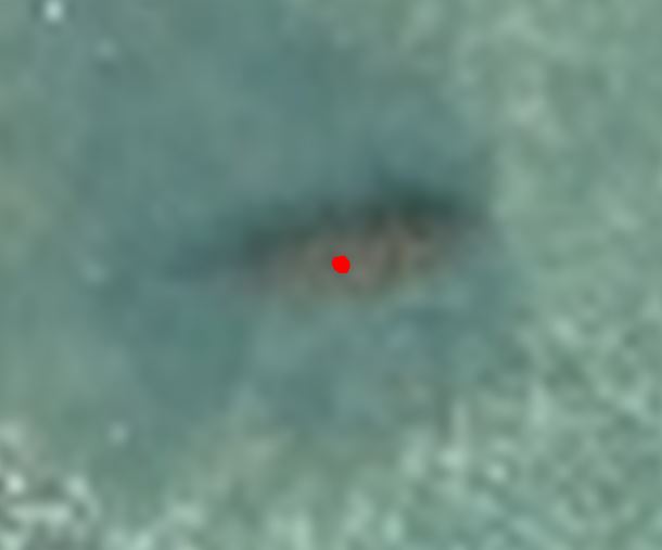 Digitized dugong
