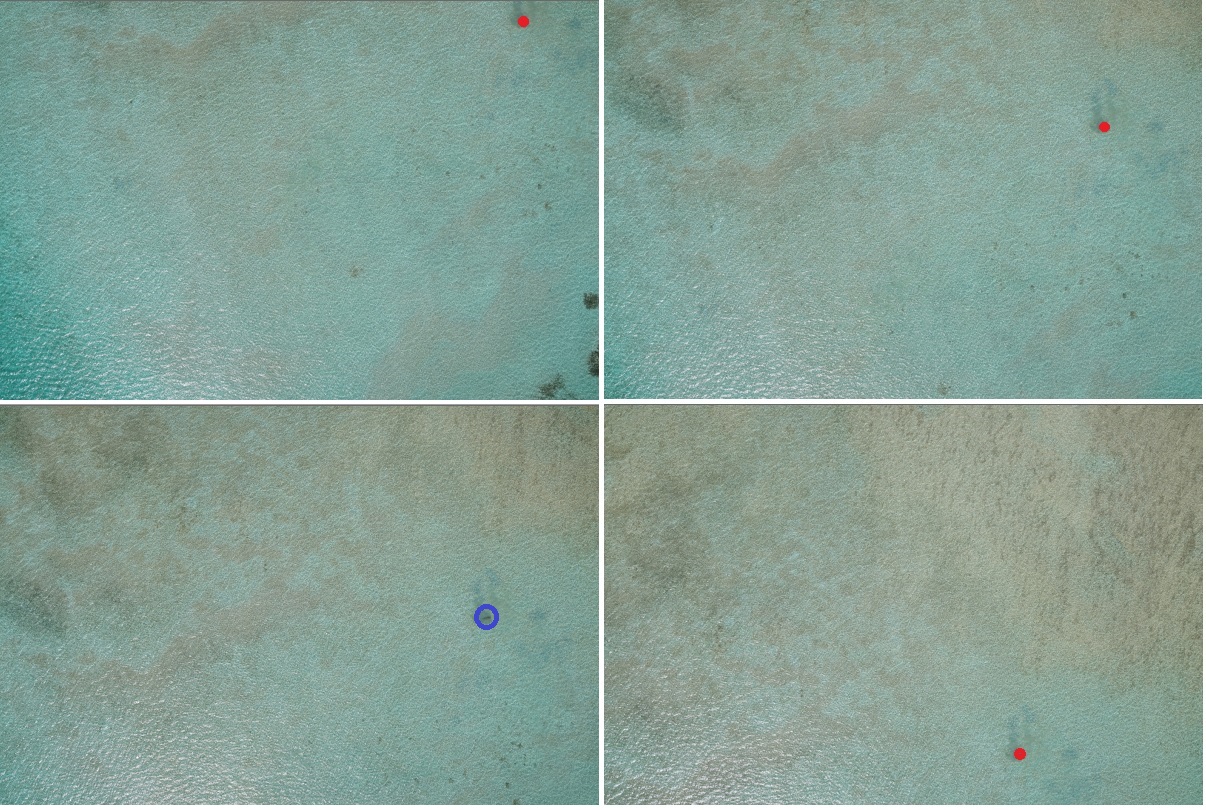 Images of drone flight